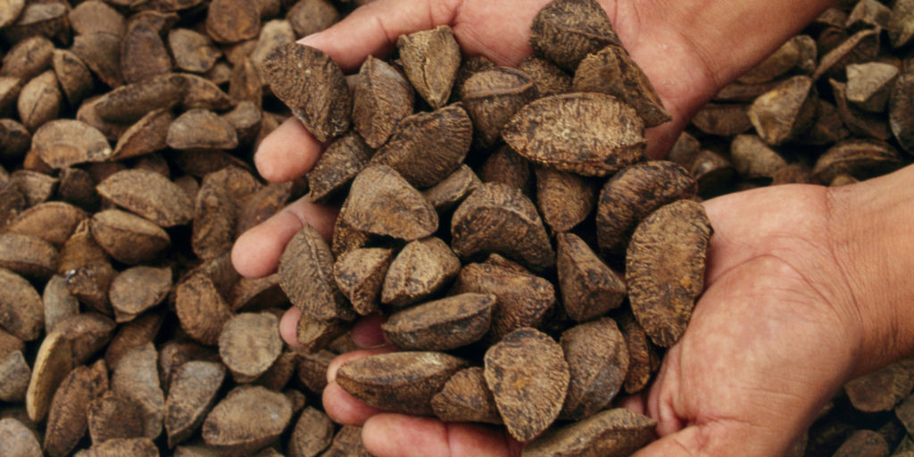 Castanhas-do-Brasil