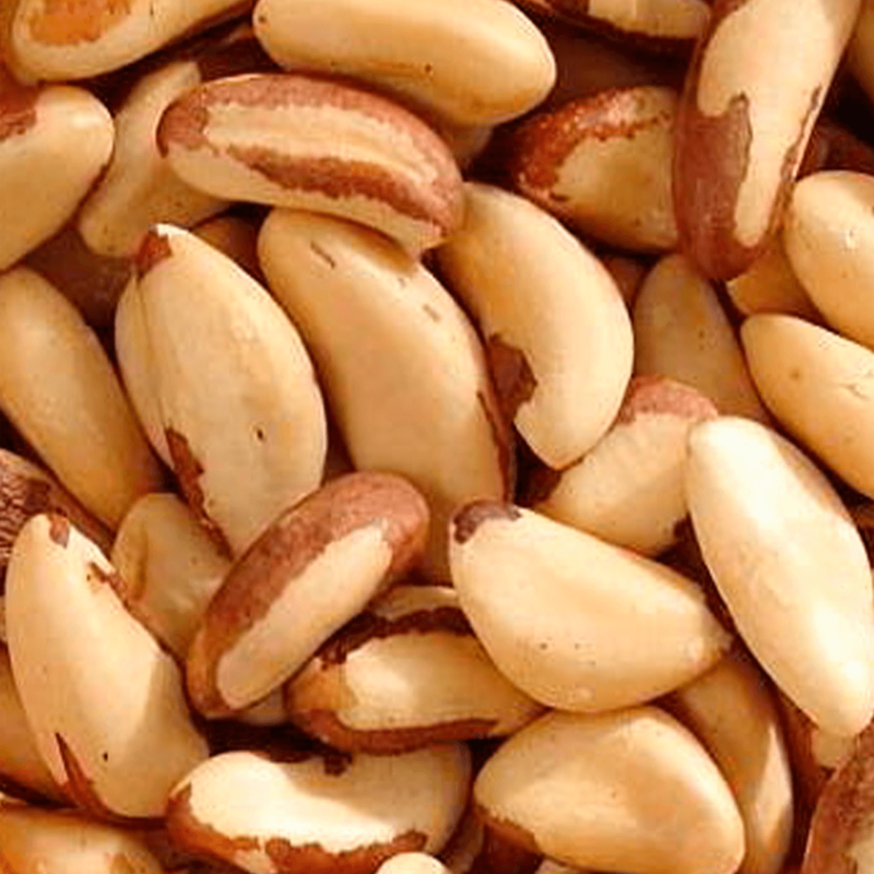 Castanha do Brasil (Pará) 500g